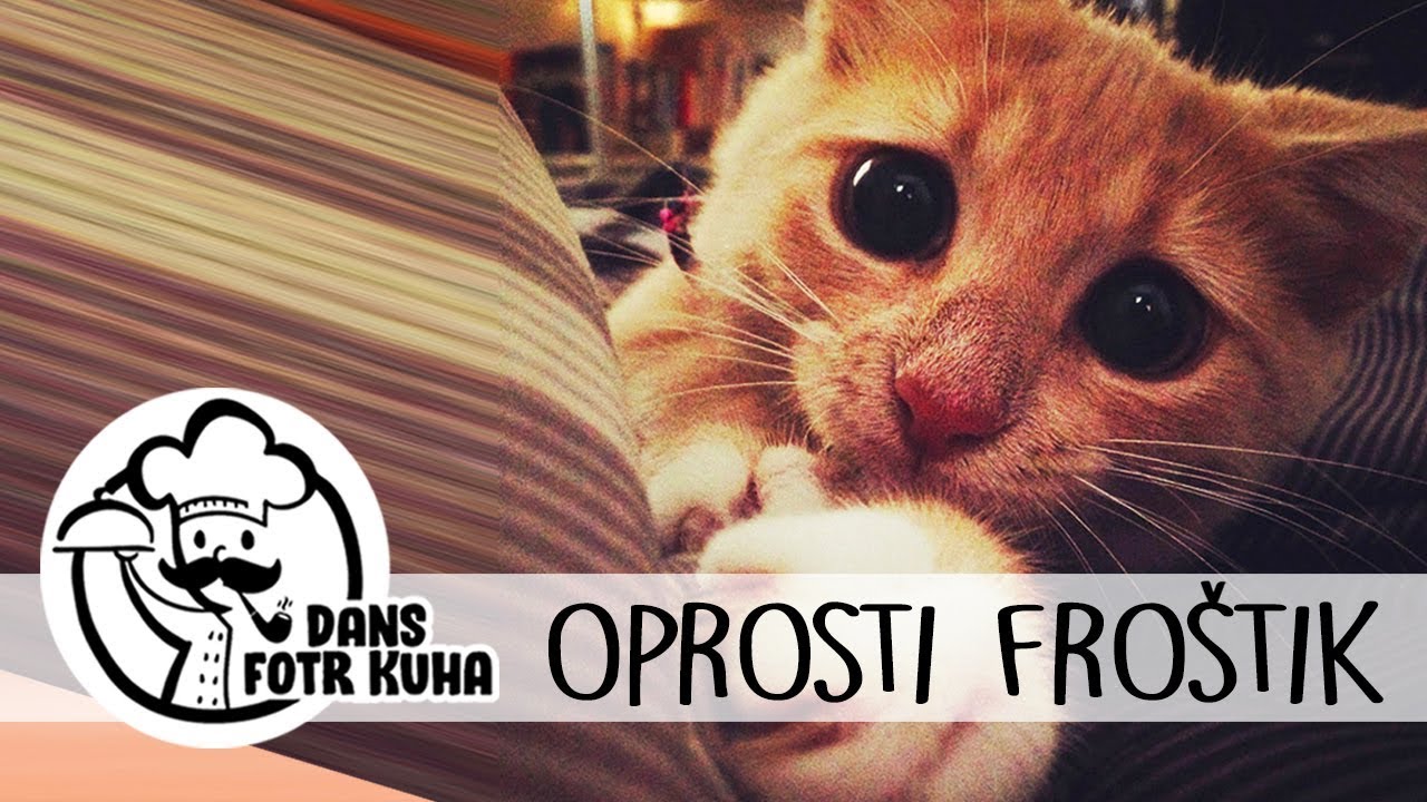 012 - OPROSTI FROŠTIK