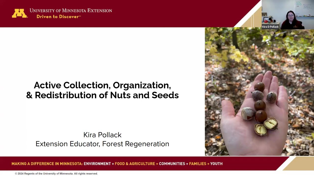 Hammes & Pollack: Developing a Minnesota Tree Seed Collection Network
