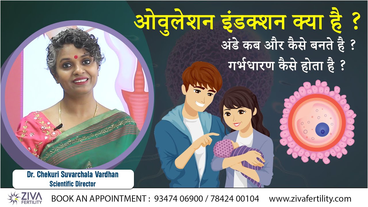 Ovulation induction || Hindi || Dr. Chekuri Suvarchala