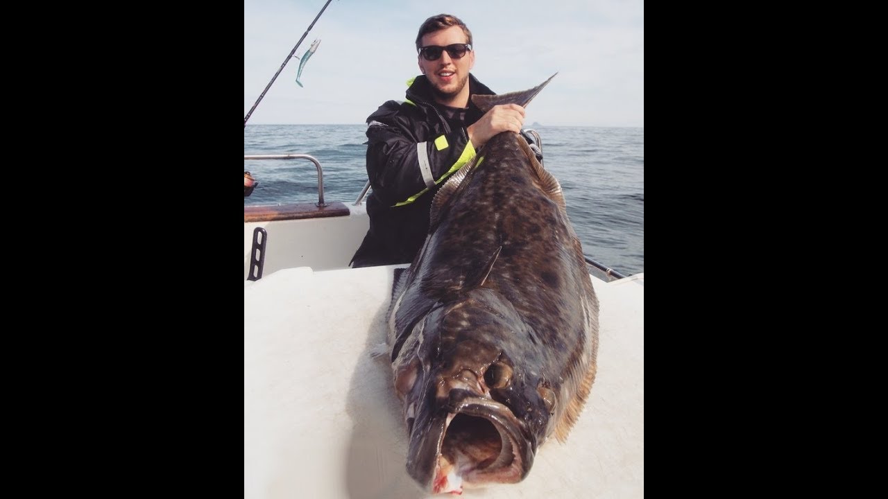 Ловля палтуса в Норвегии. Эффективный способ! 20 палтусов за 5 дней! Halibut fishing.