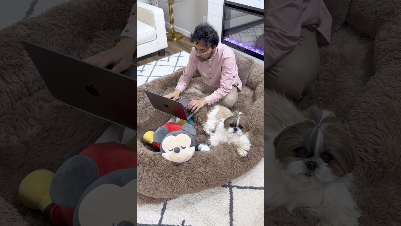 This human sized dog bed is everything 🤖🐶🛌 #murphyandfamily #humansizedogbed #dogbeds #temu