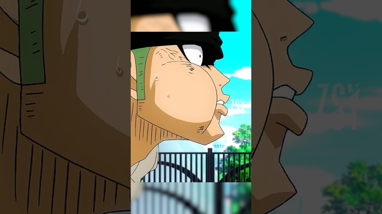 This is were Luffy knew he wanted Zoro