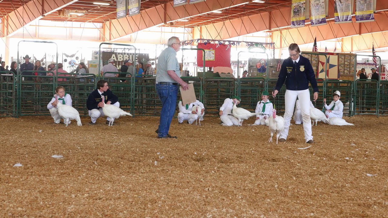 FFA TURKEY SHOWMANSHIP AT THE FAIR 2019