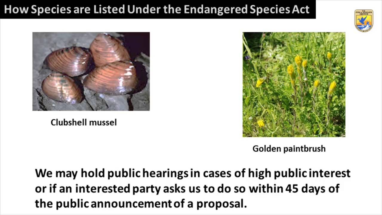 Ecological Services - Listing Species as Endangered