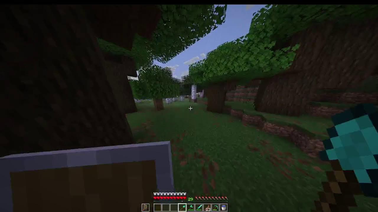 Minecraft Java mit Hannes