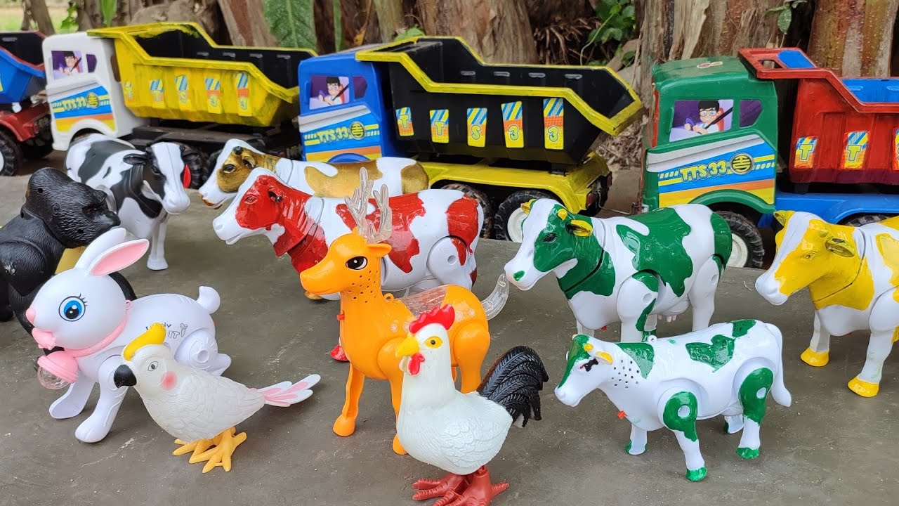 🔴Wiiih Truk oleng angkut sapi warna warni sapi lucu gajah rusa kingkong ayam burung ikan dinosaurus