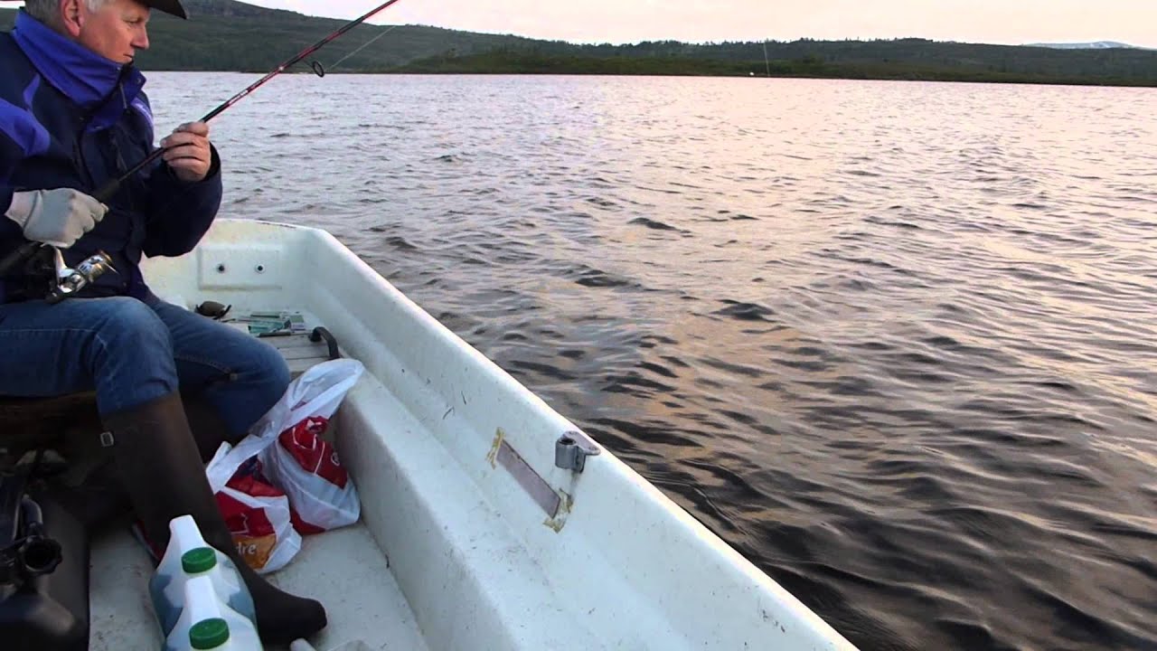 Snåsa - Storørret 3,2 kg fra Snåsafjella 2014