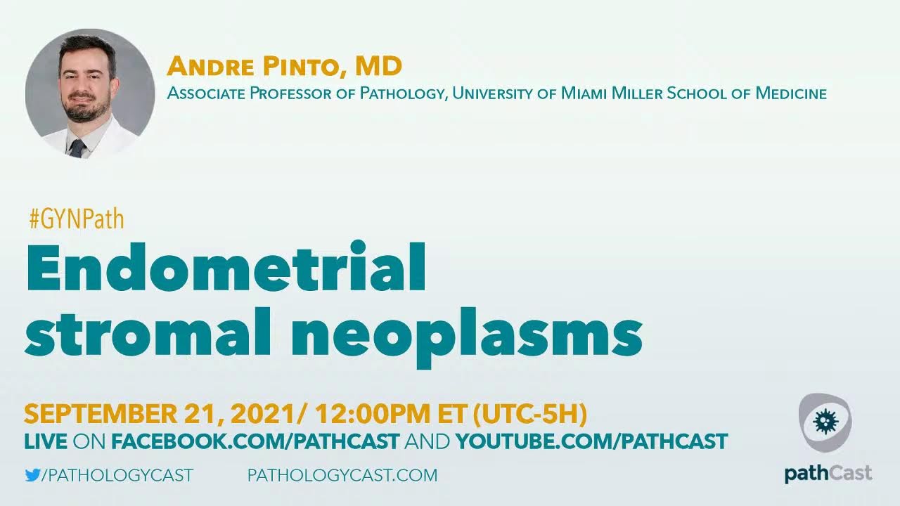 Endometrial stromal neoplasms - Dr. Pinto (University of Miami) #GYNPATH
