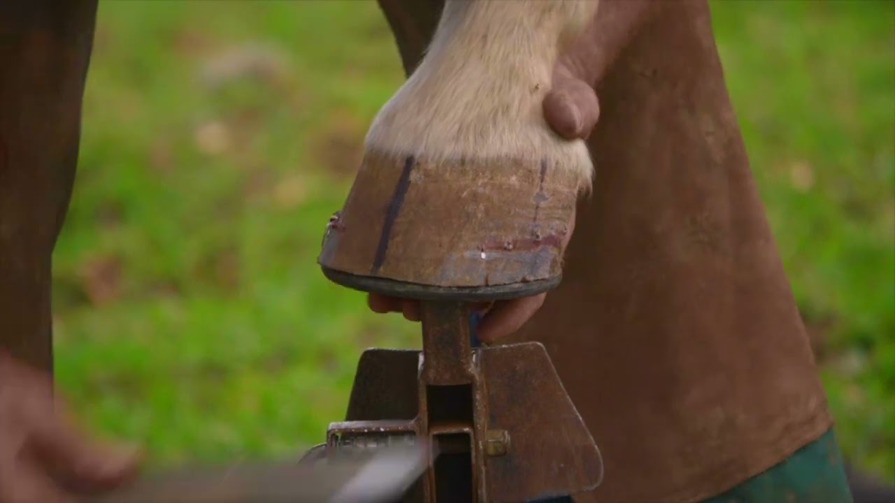 Horseshoeing with HoofTalk: Lesson 18  How to Block Nails and Clinch.