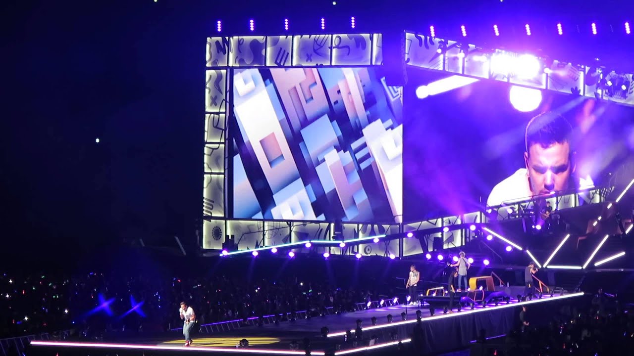 One Direction OTRATourJapan 150228_7