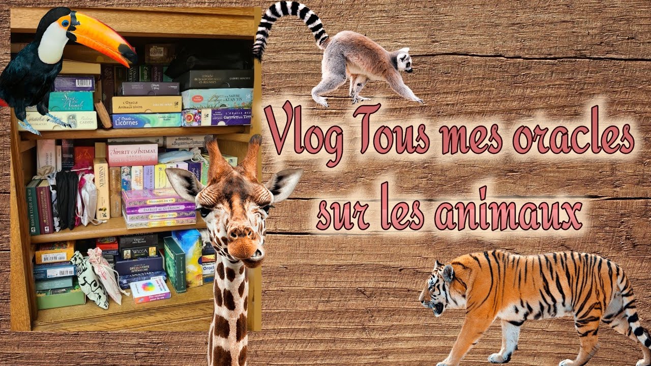 🐨🐼Vlog Tous mes oracles sur les animaux🐘🐰🦝🦁