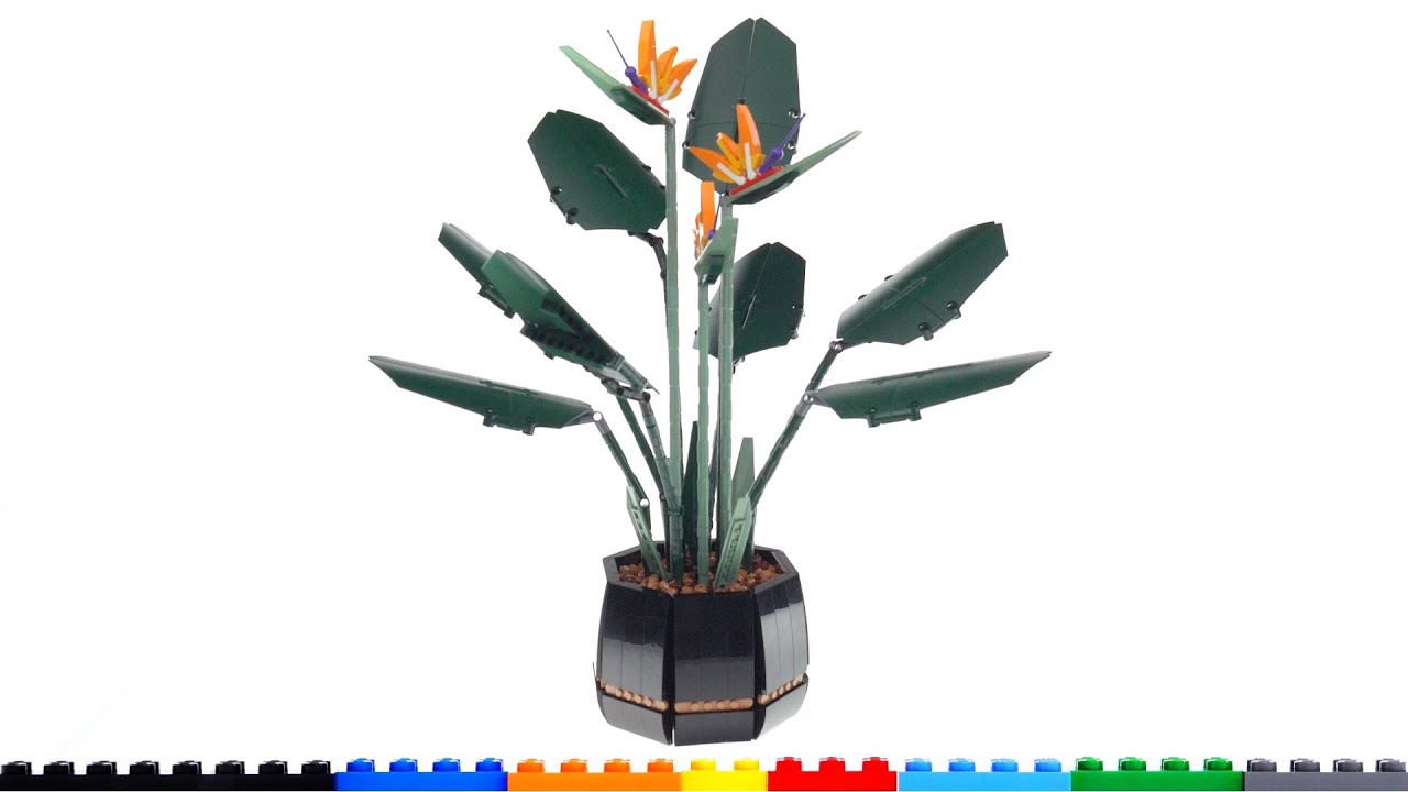LEGO Bird of Paradise review! Delightfully realistic Botanicals Collection plant & bot set 10289