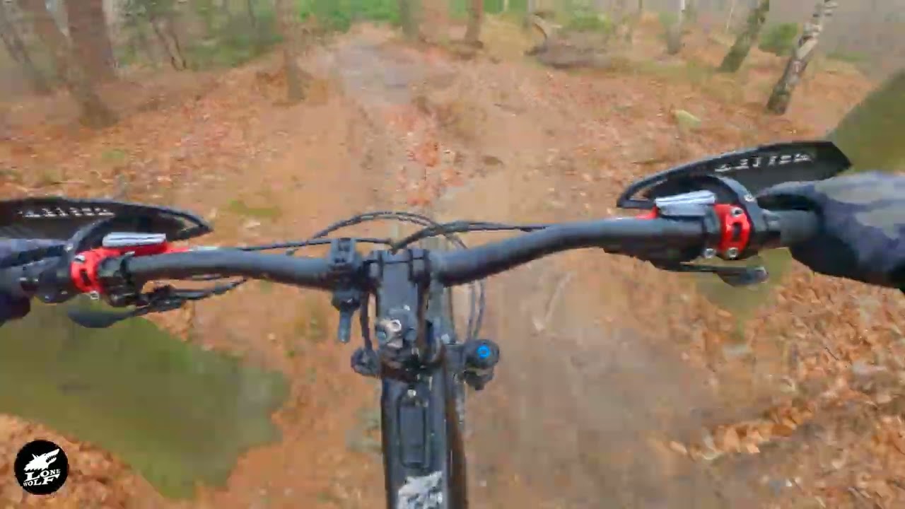 Gypsy king thursday run 2 #endurotrails #cygan