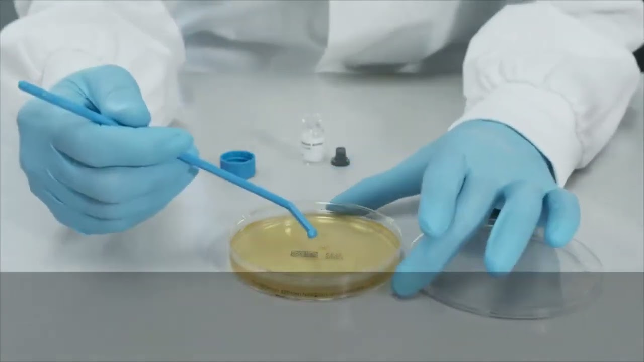 How to use BIOBALL&reg; SINGLESHOT for on an agar plate?