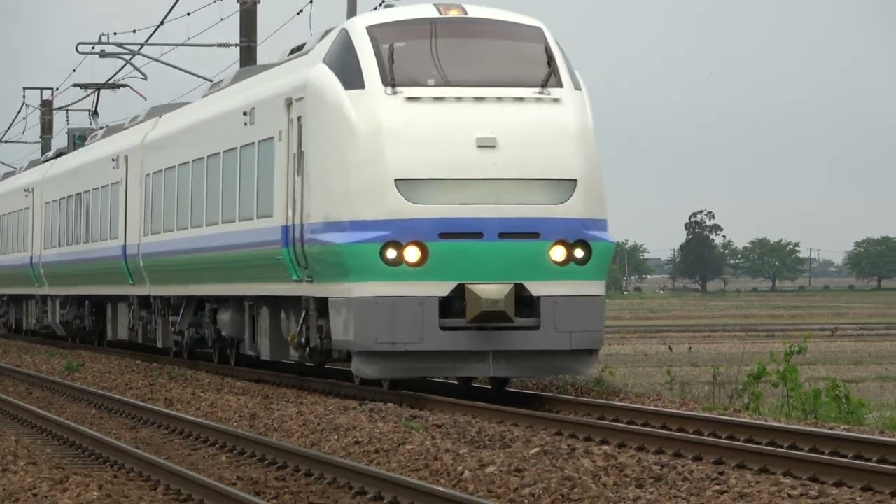 上沼垂色塗装編成　　E653系1100番台H-202編成