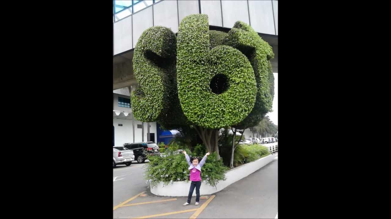homenagem a cantora mirim milena