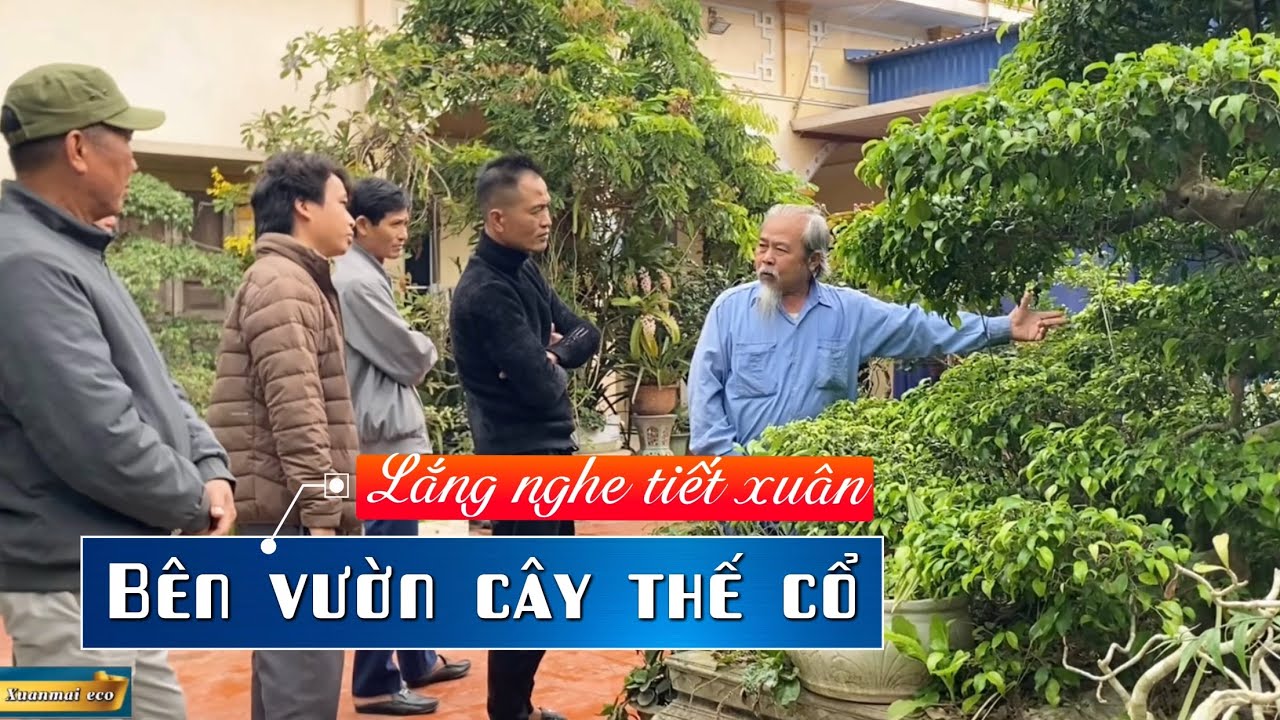 Lắng Nghe Tiết Xuân Bên Vườn Cây Thế Cổ.