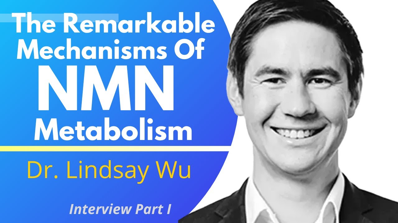 Study Unveils The Mysteries Of NMN Metabolism | Dr Lindsay Wu Ep1