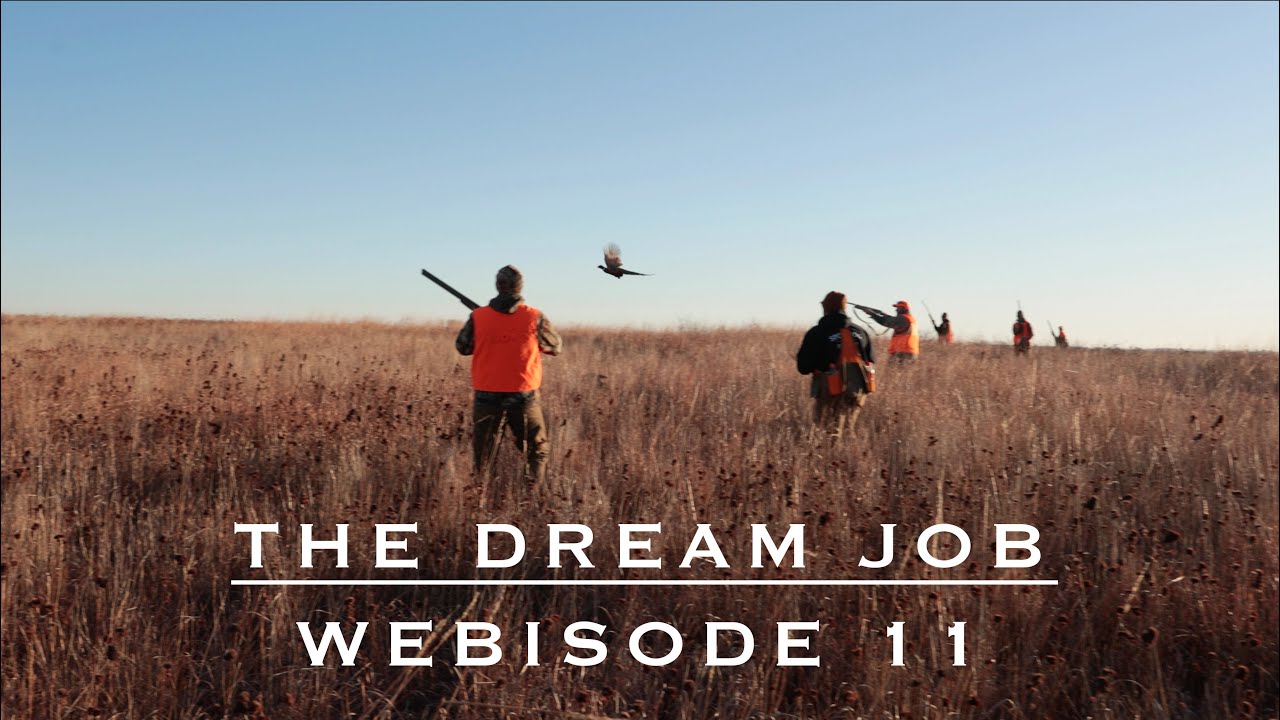 A Wild Pheasant Hunt in Kansas | The Dream Job: Webisode 11
