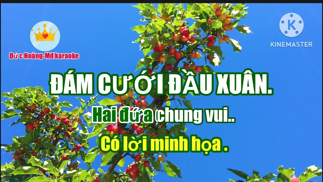 ĐÁM CƯỚI ĐẦU XUÂN /có lời minh họa.