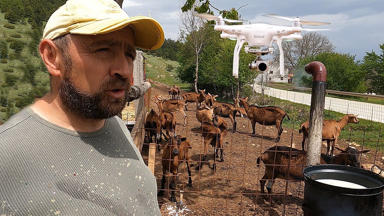 Zbogom pastiri, stižu dronovi za nadzor stoke