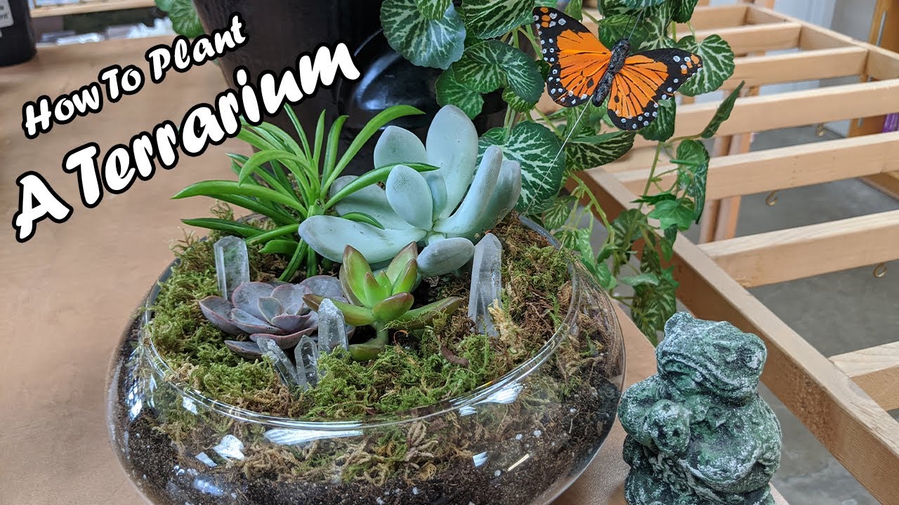 How To Properly Plant A Succulent Terrarium! ~ Stay In Bloom With Leah