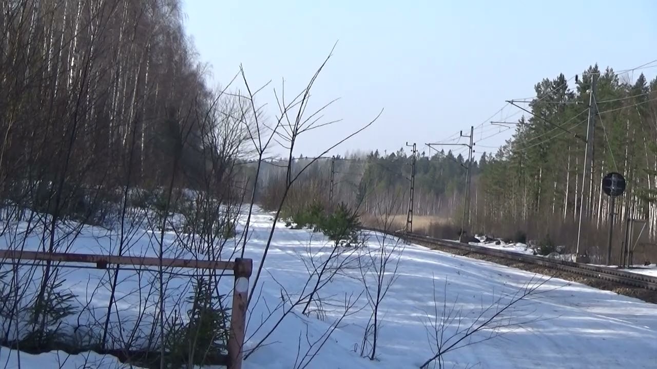 Grenland Rail timmertåg motlutet Hade. Nice sound.  20260310  kl 11.14