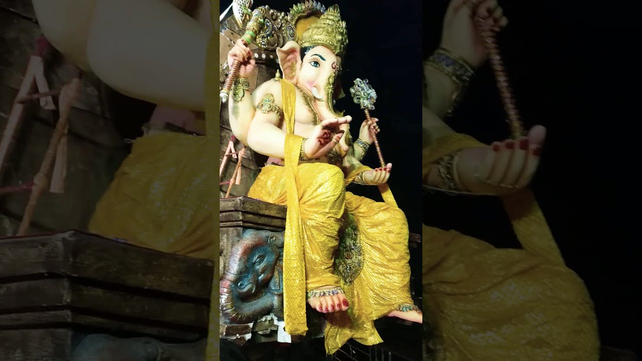 Chandrapurchacha Raja Visarjan 2019