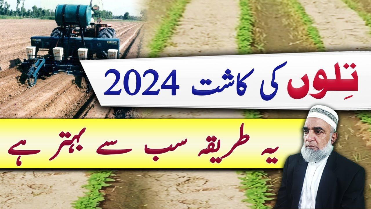 Best sowing method of Sesame || Crop Reformer