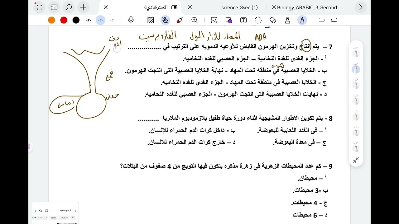 حل واجابات النموذج الاسترشادي ٣ الاحياء 2025✅ الطبيب المسلم د٠شوقي اسامه