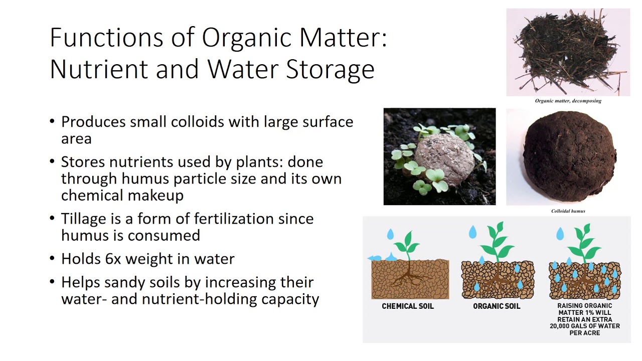 Soil Organic Matter