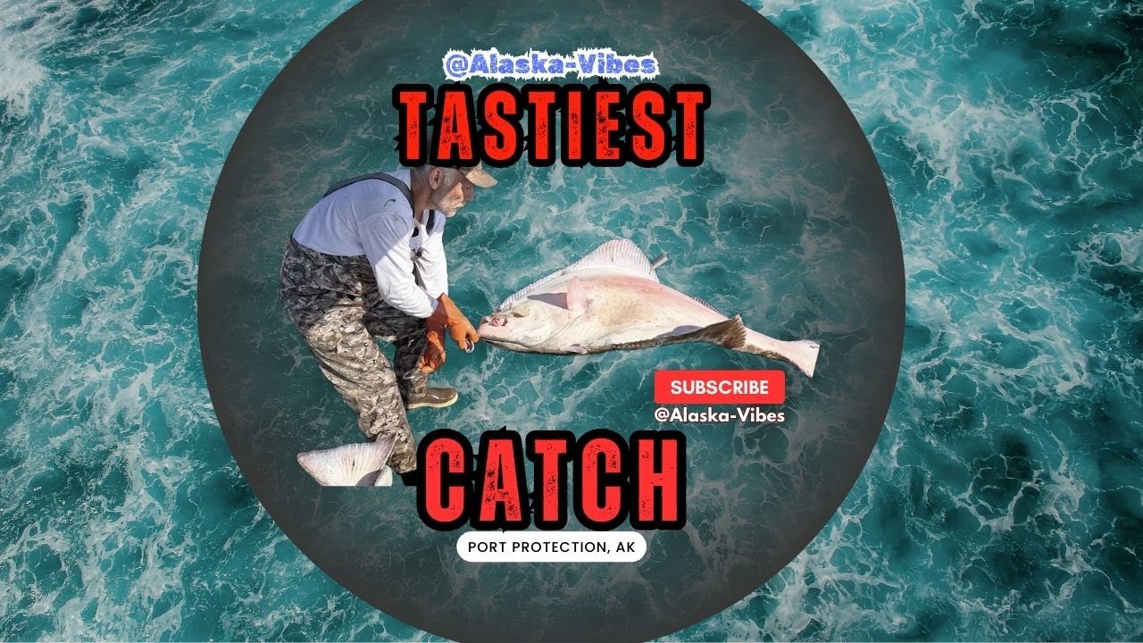 Port Protection: Tastiest Catch #fishing #alaska #fish #portprotection #nature #adventure