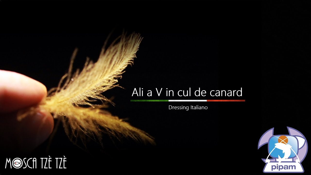 Costruzione ali a V in CdC - Fly tying Room