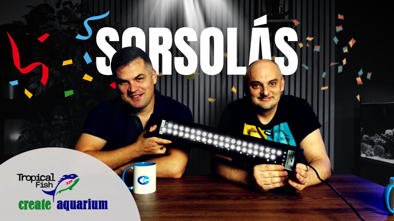 🎉 Week Aqua l&aacute;mpa SORSOL&Aacute;S! 🎉