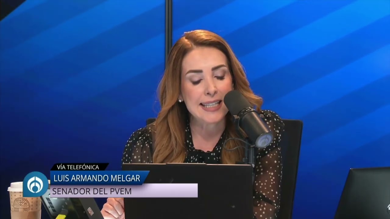 Luis Armando Melgar del PVEM reitera su voto contra la reforma electoral
