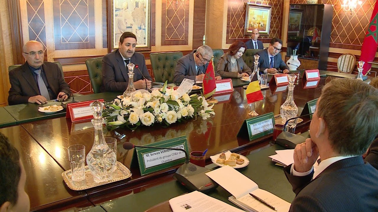 استقبل السيد عبد الصمد قيوح الخليفة الأول لرئيس مجلس  لرئيس مجلس المستشارين السيد سيغفريد براك