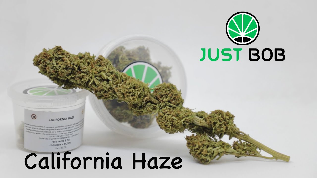 California Haze CBD - CBD Flower - JustBob ENG