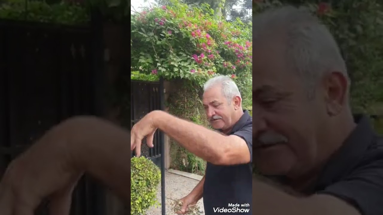 ⚘️⚘️جنتي حديقتي⚘️⚘️