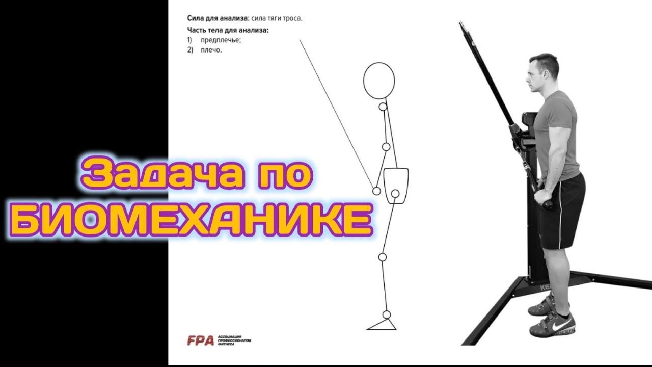 Задача по БИОМЕХАНИКЕ.