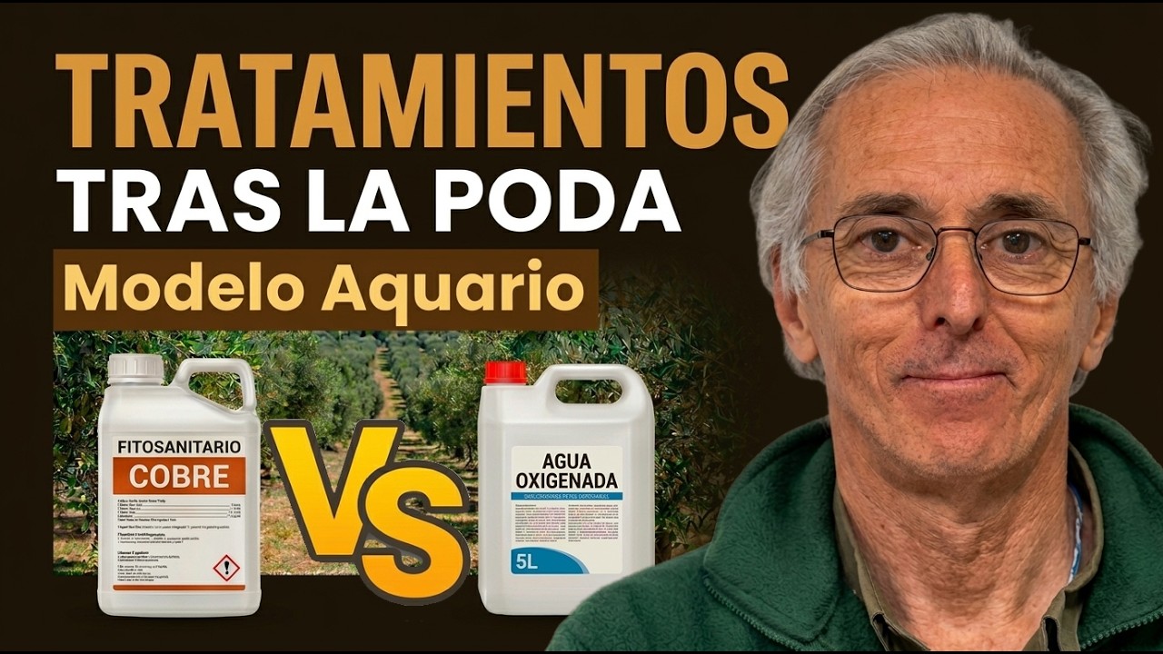 Tratamientos Tras la Poda ¿Mejor Agua Oxigenada o Cobre?