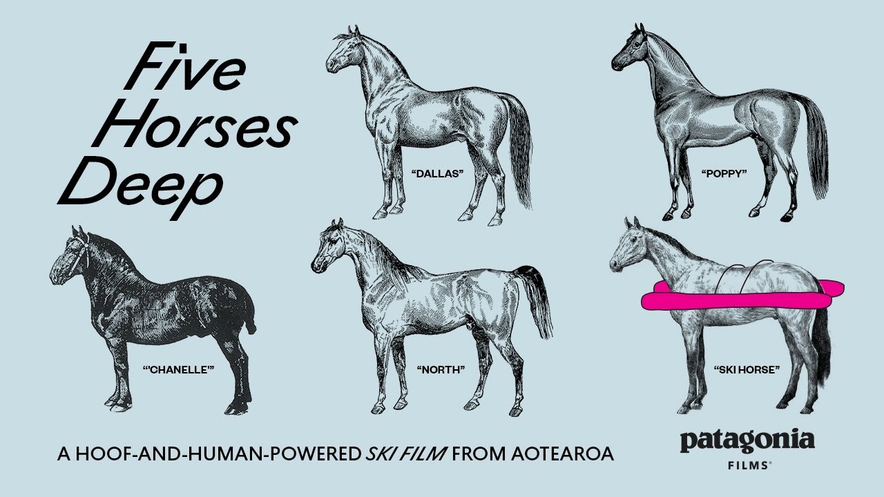 Five Horses Deep: фильм о лыжах, приводимых в движение копытами и человеком, из Новой Зеландии | ...