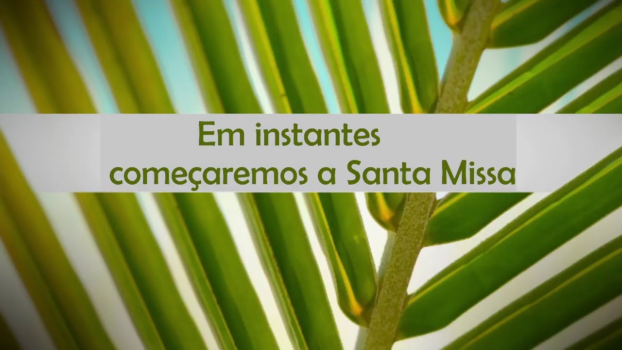 Transmiss&atilde;o ao vivo de Par&oacute;quia Sant&iacute;ssima Trindade