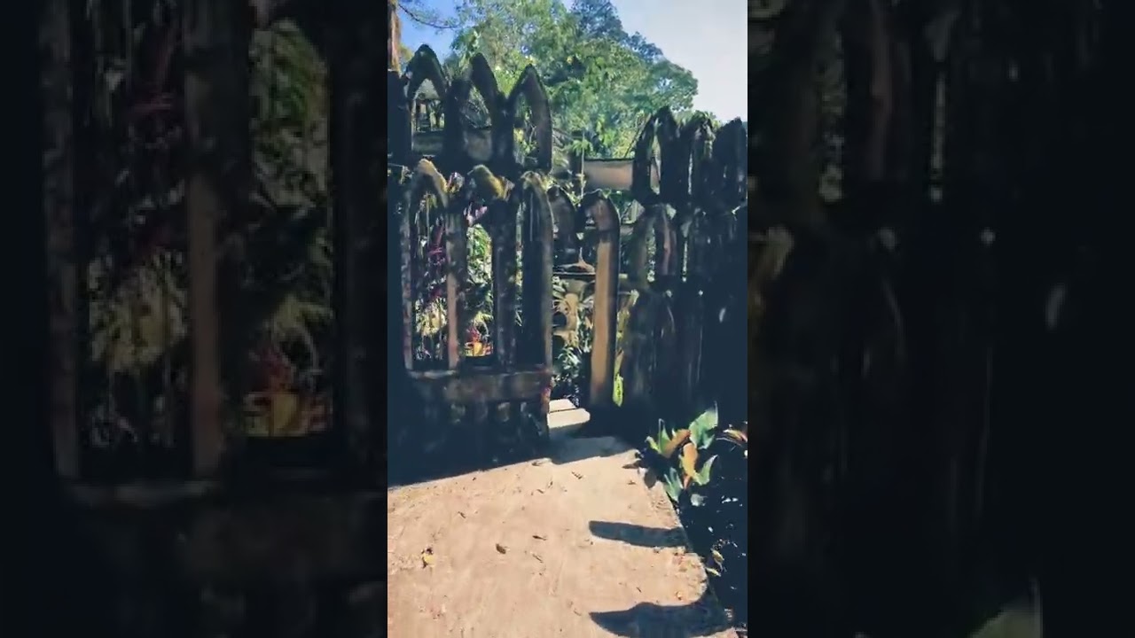 Xilitla Jardin Surrealista Sir Edward James Garden
