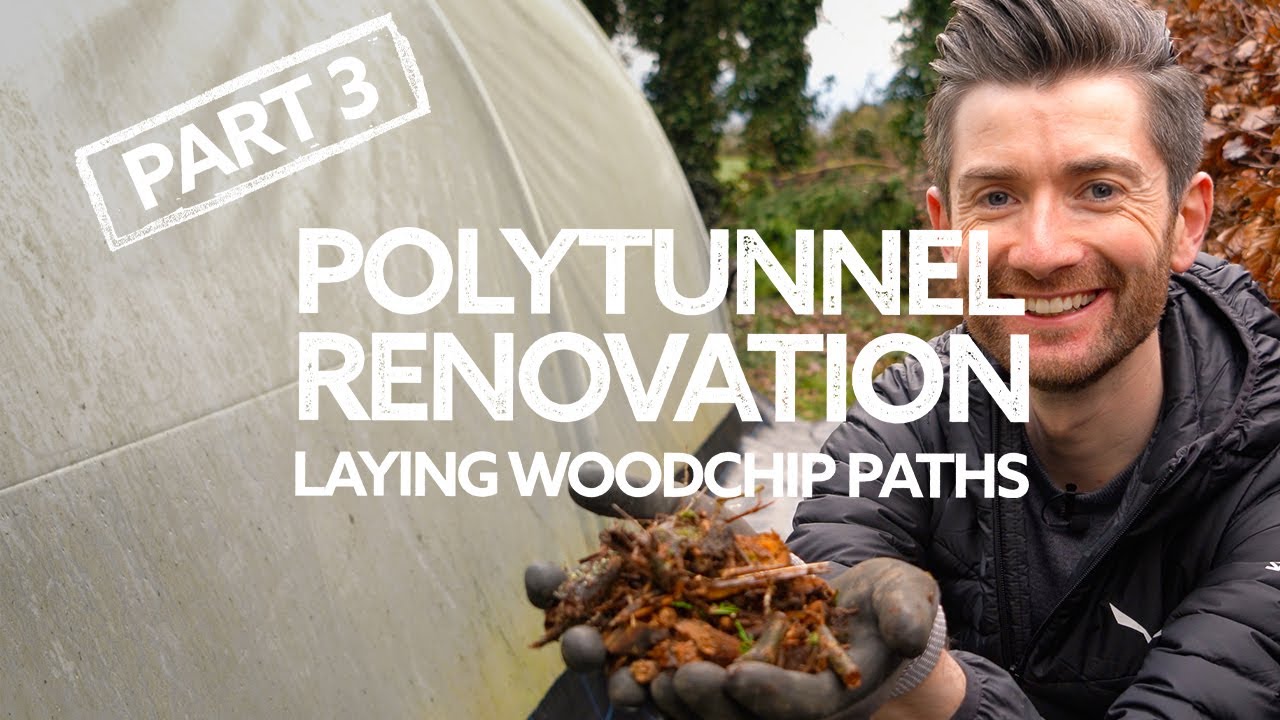 Polytunnel Renovation [Part 3] - Laying Woodchip Paths... The Woodchip!