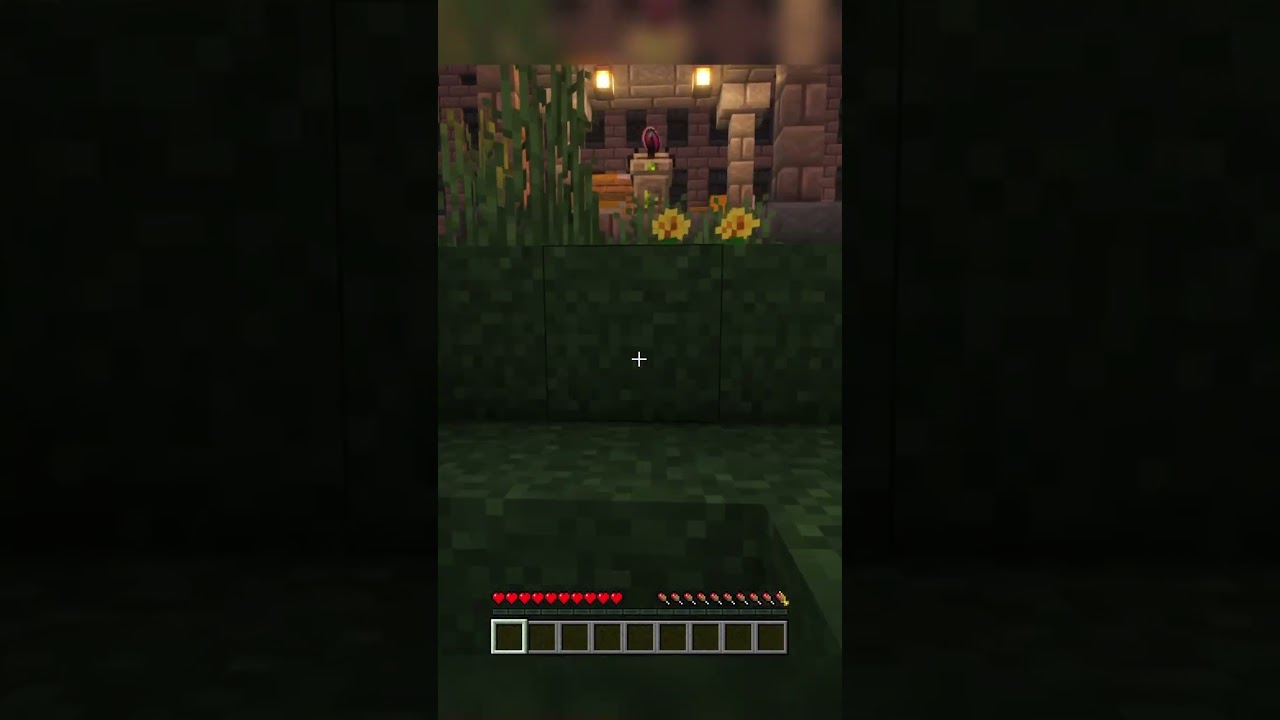 our dilemma with hardcore minecraft | argos smp