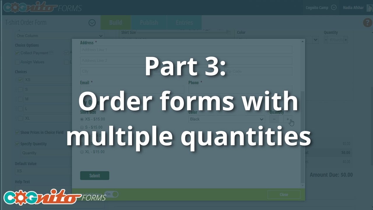 Creating Payment Forms Part 3: Order Forms with Multiple Quantities