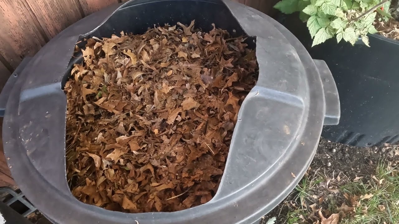 Leaf Mold: A Reason to Collect Leaves