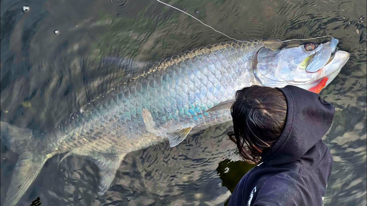 The Fish Just Got Bigger & Bigger…