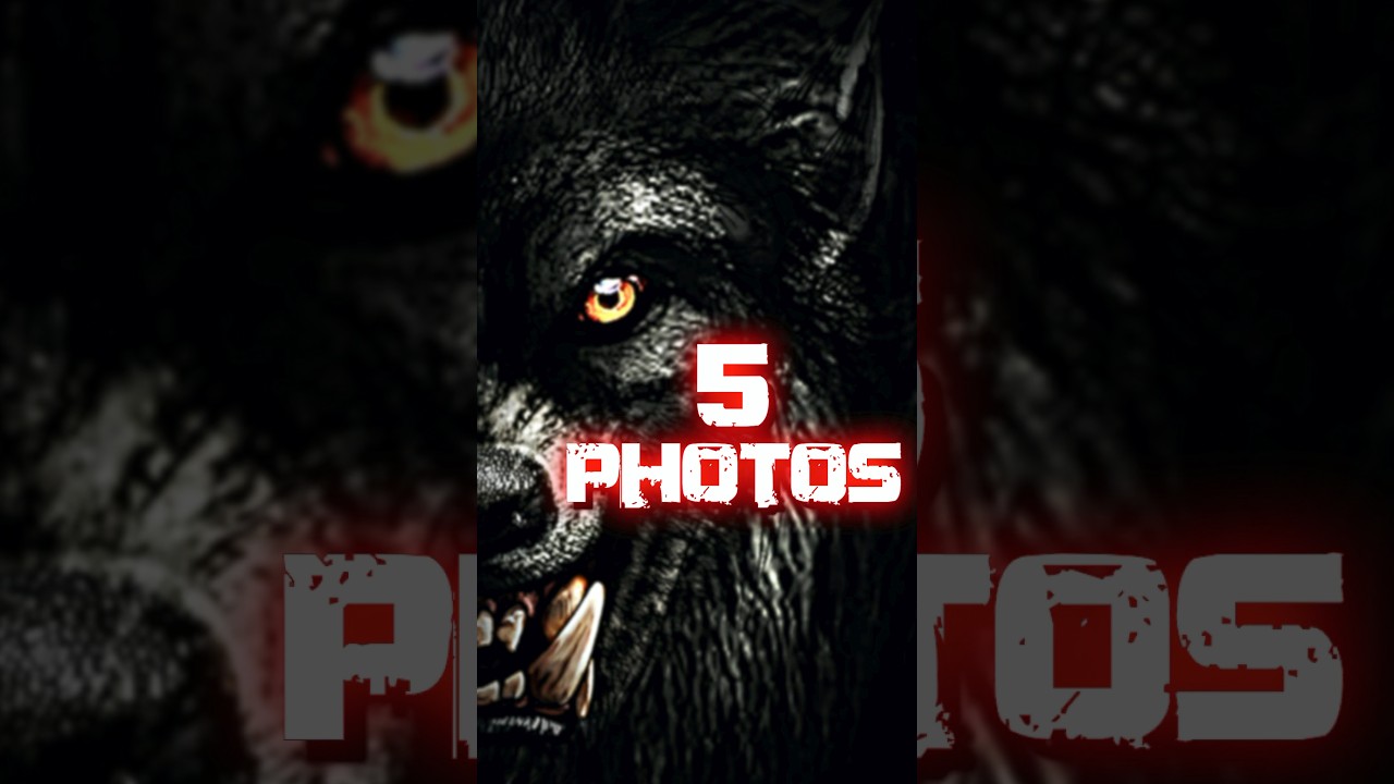 5 Dogman Photos That Will Haunt You!