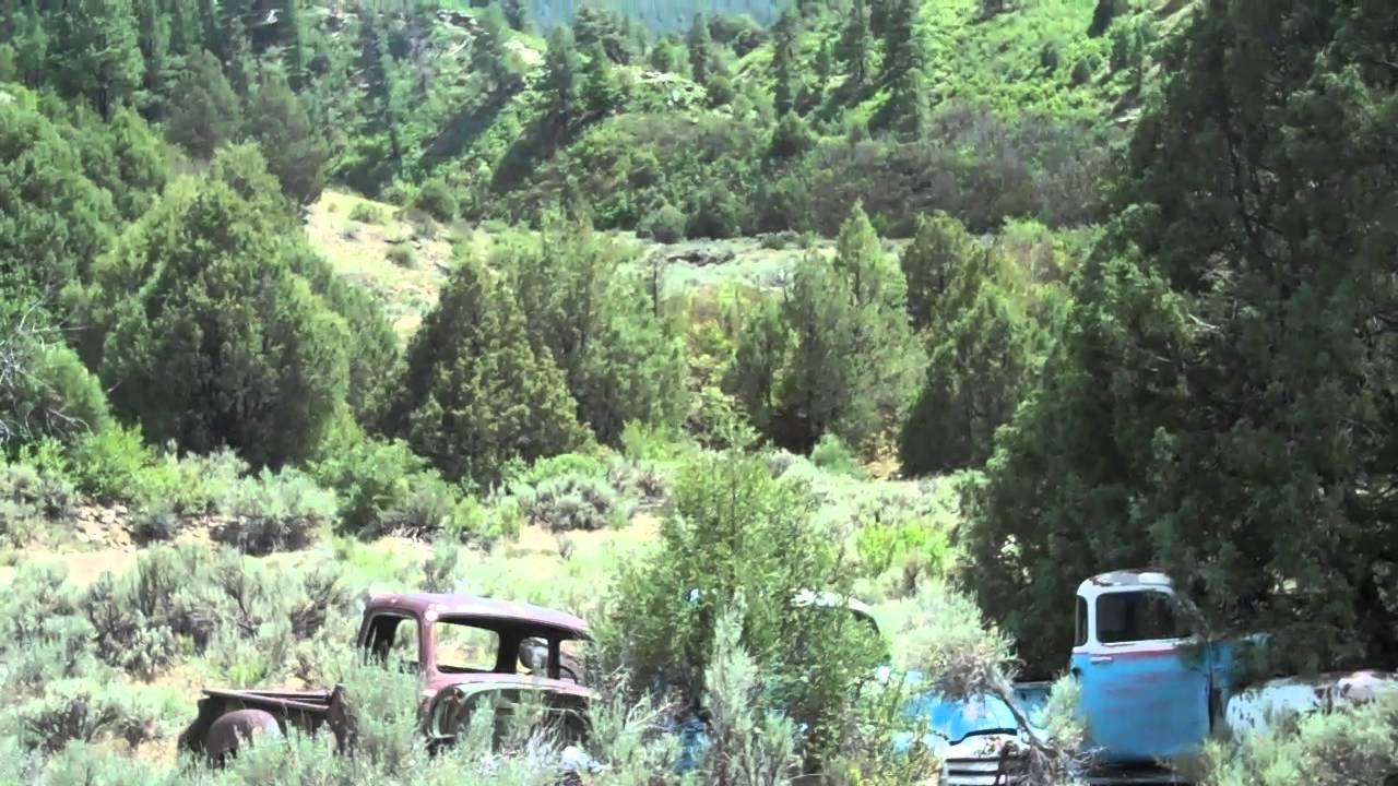 Ranch For Sale 60+-ac With Cabin Lumberton, NM Landowner Elk Permit included